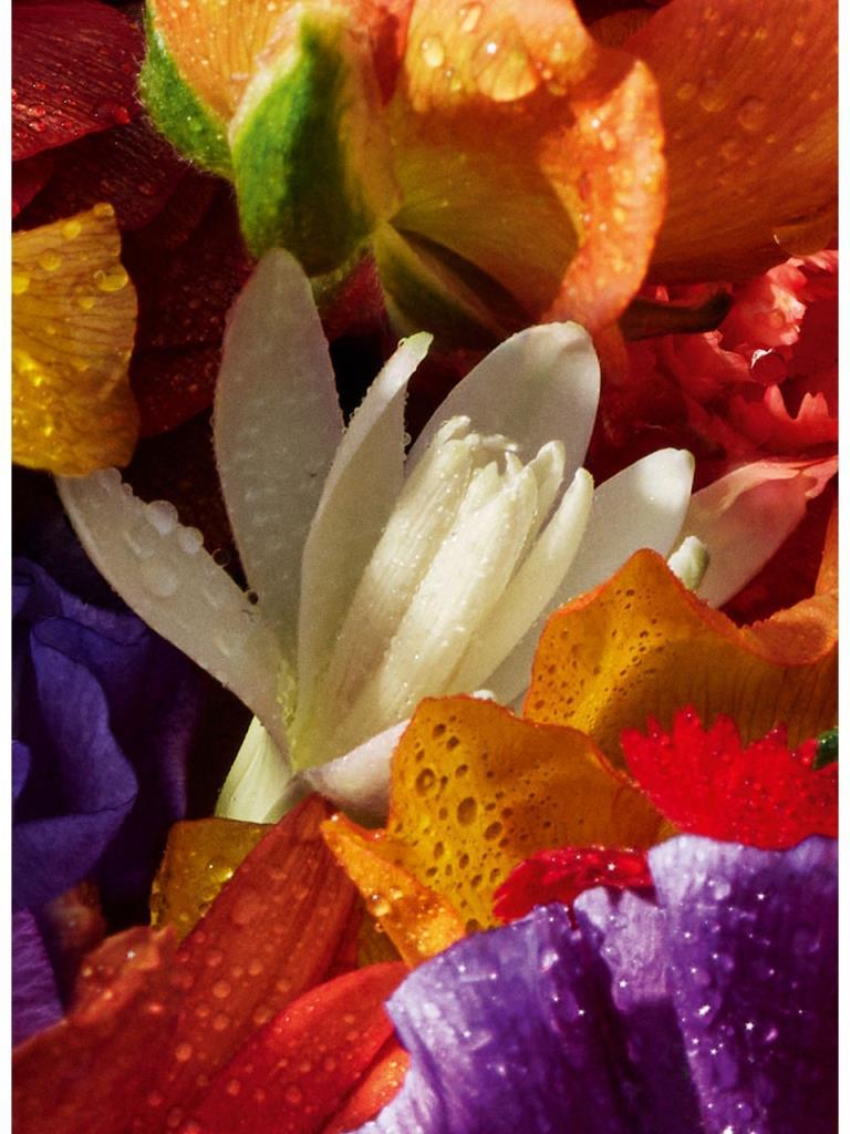 Guerlain Aqua Allegoria Forte Florabloom EDP 75 ml Kadın Parfüm