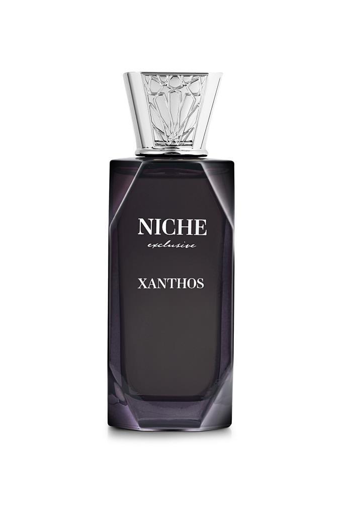 Niche Exclusive Xanthos EDP 100 ml