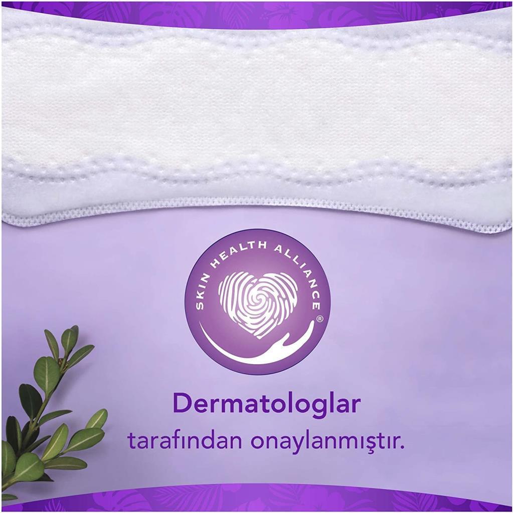 Orkid Normal Günlük Korma Rahatlık 80 Adet Hijyenik Ped 