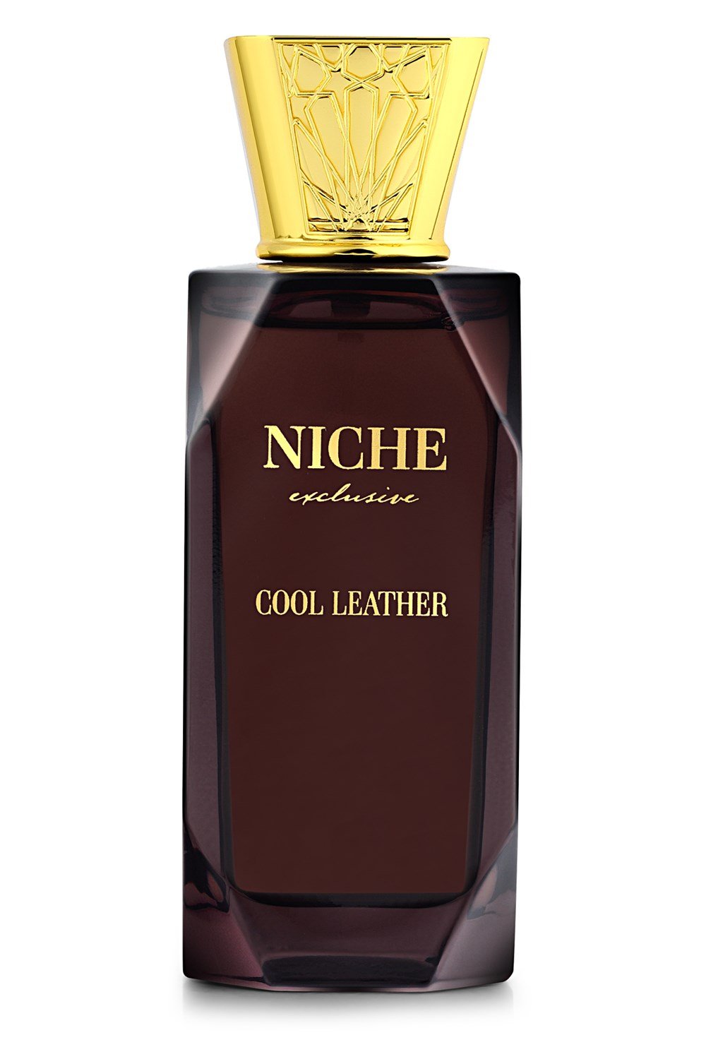 Niche Exclusive Cool Leather EDP 100 ml