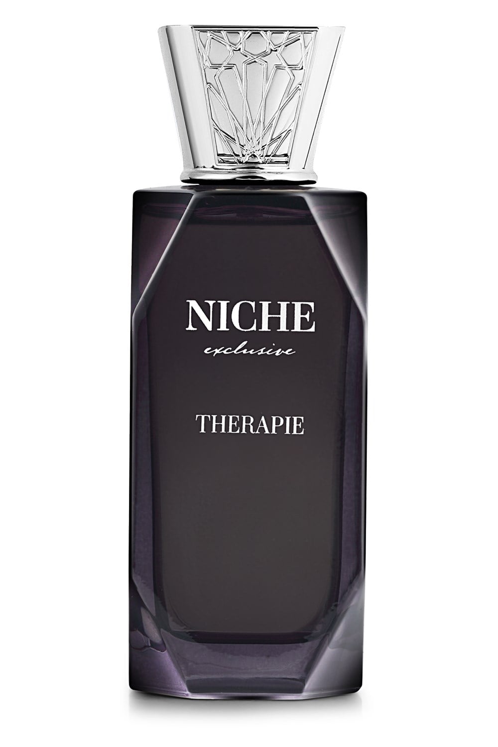Niche Exclusive Therapie EDP 100 ml