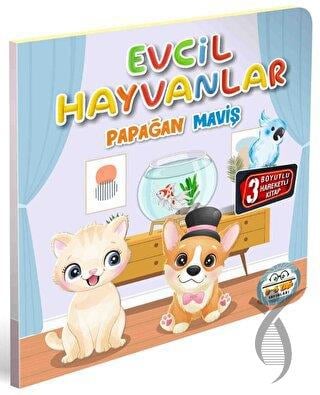 Evcil Hayvanlar Papağan Maviş