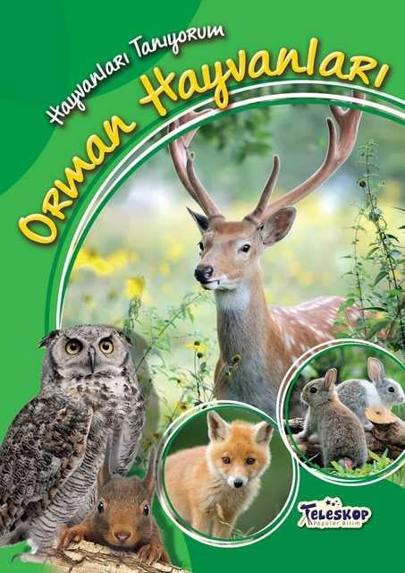 Hayvanları Tanıyorum - Orman Hayvanları