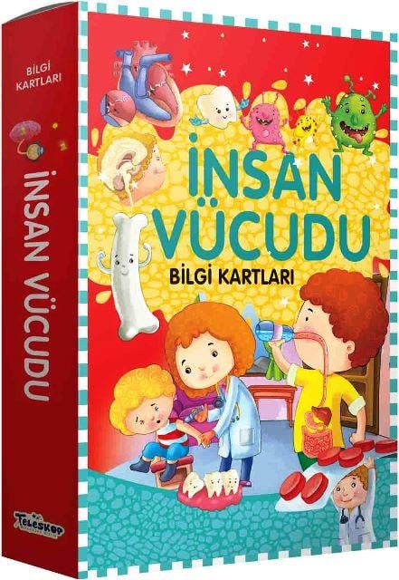 İnsan Vücudu Bilgi Kartları