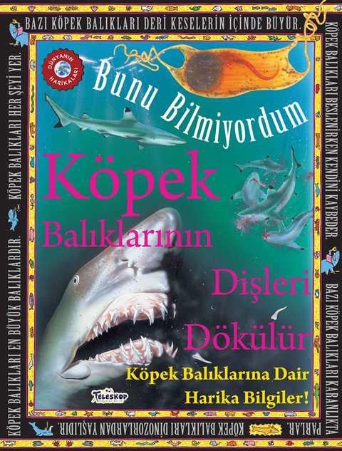 Köpek Balıklarının Dişleri Dökülür - Bunu Bilmiyordum