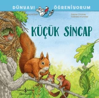 Küçük Sincap Dünyayı Öğreniyorum
