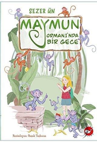 Maymun Ormanı’nda Bir Gece