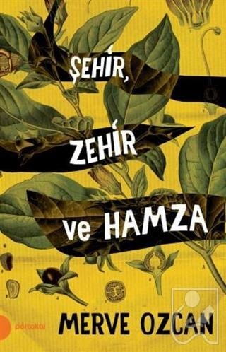 Şehir Zehir ve Hamza