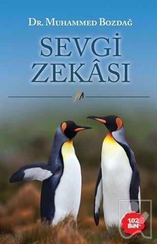 Sevgi Zekası