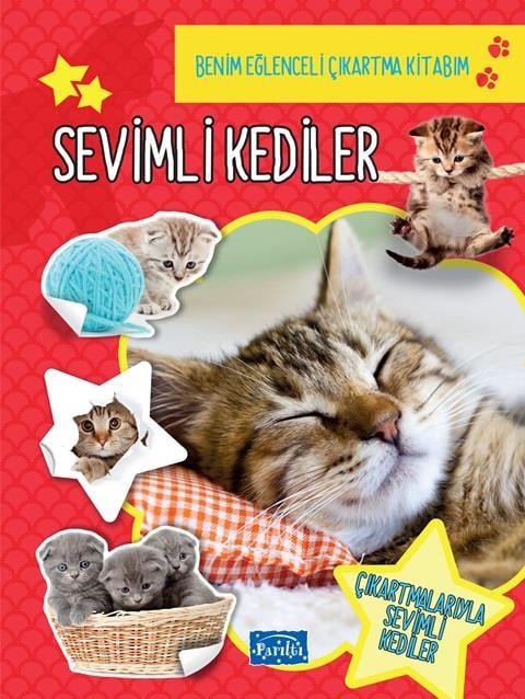 Sevimli Kediler