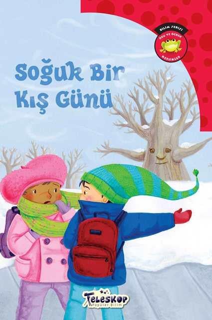 Soğuk Bir Kış Günü