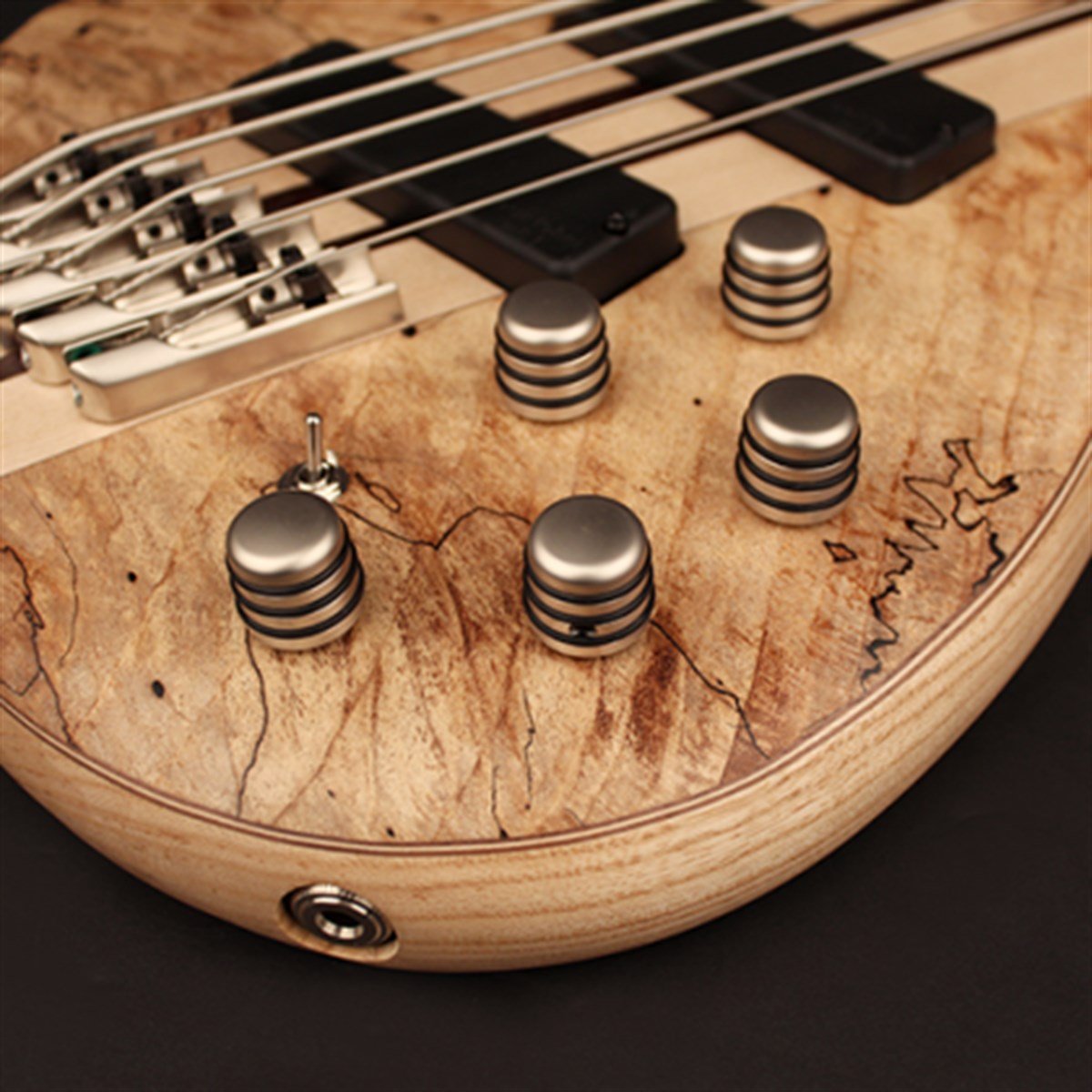 BAS GİTAR 5 TELLİ ÇANTALI