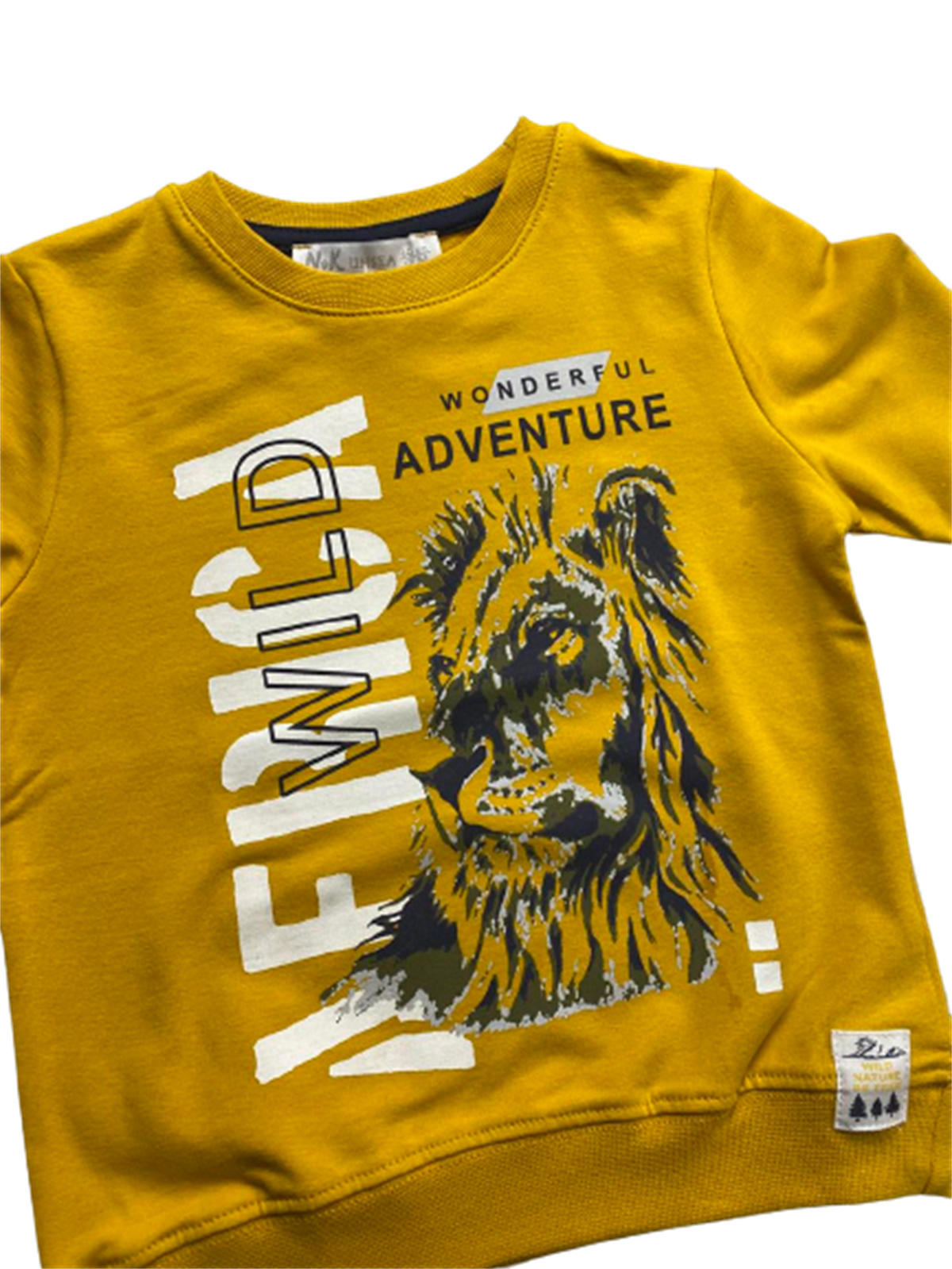 ASLAN BASKILI SWEAT