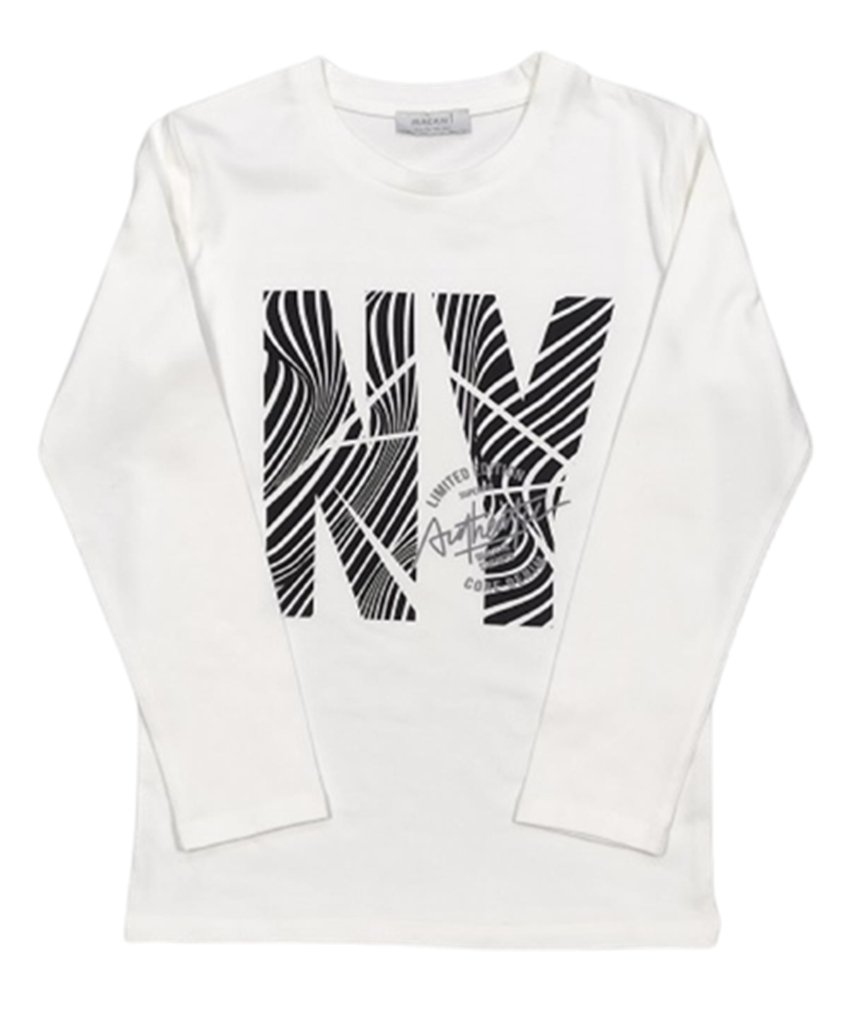 AUTHENTIC ERKEK SWEAT