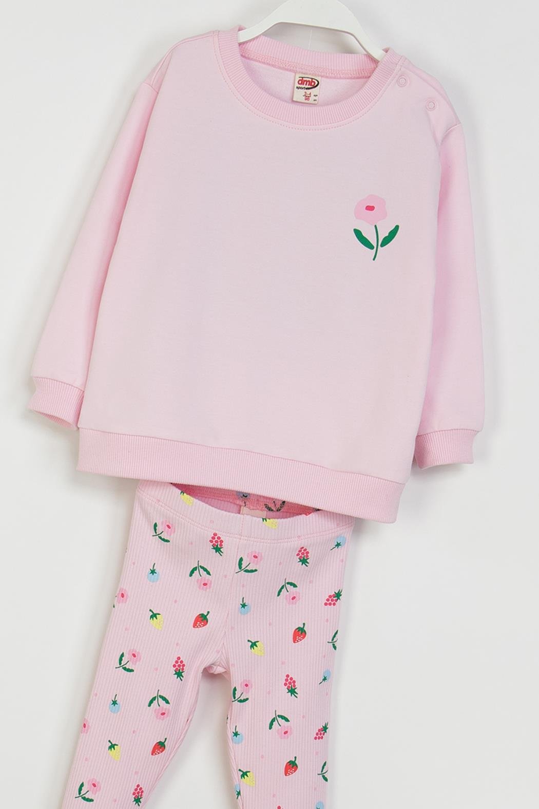 Çiçekli Bebe Taytlı Takım - Pembe