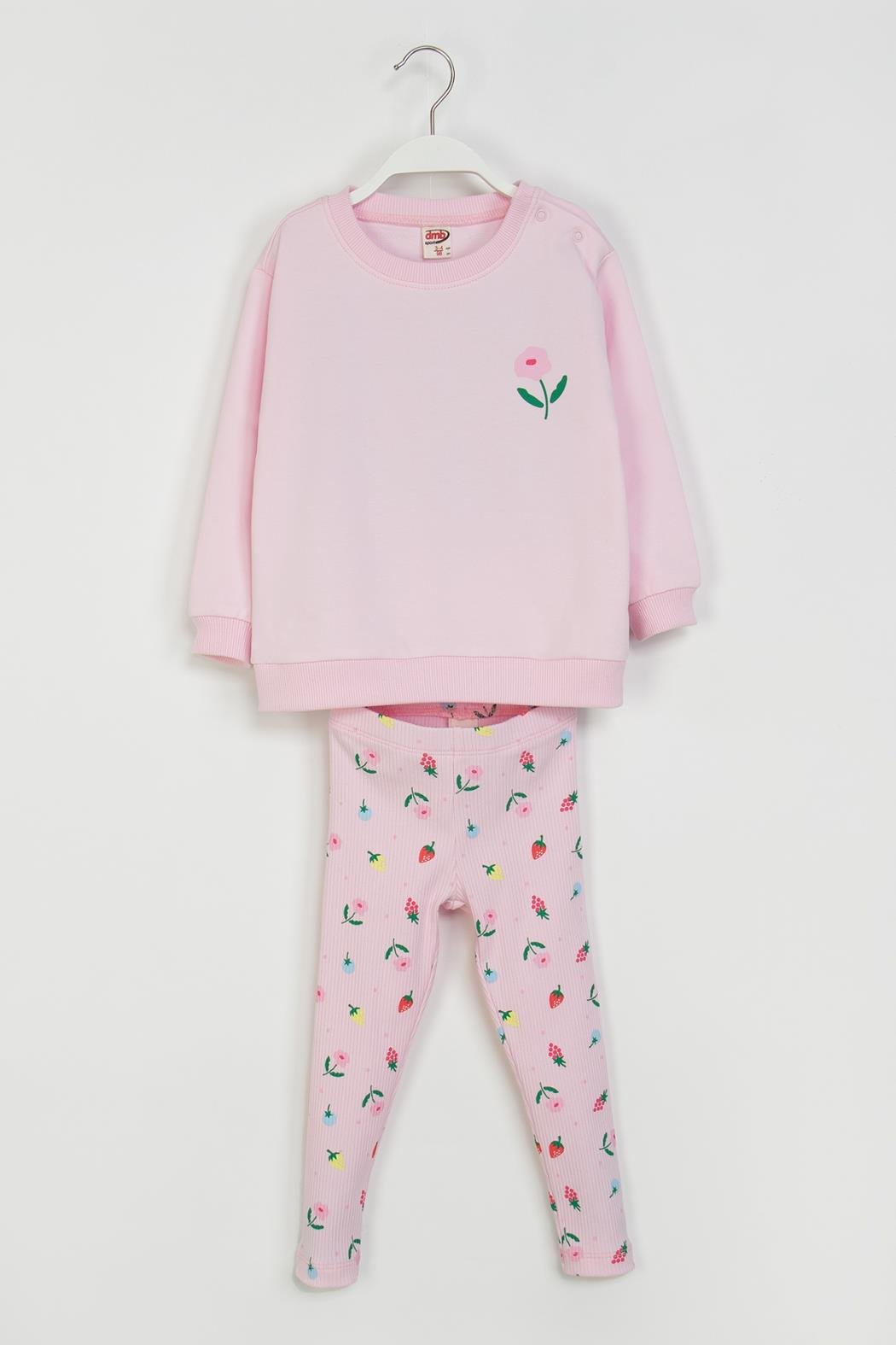 Çiçekli Bebe Taytlı Takım - Pembe