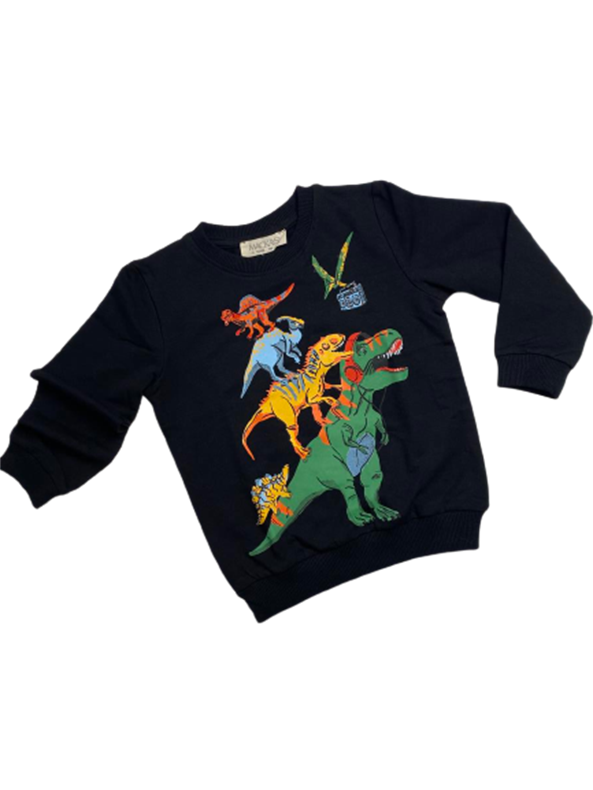 DİNAZORLAR ERKEK ÇOCUK SWEAT