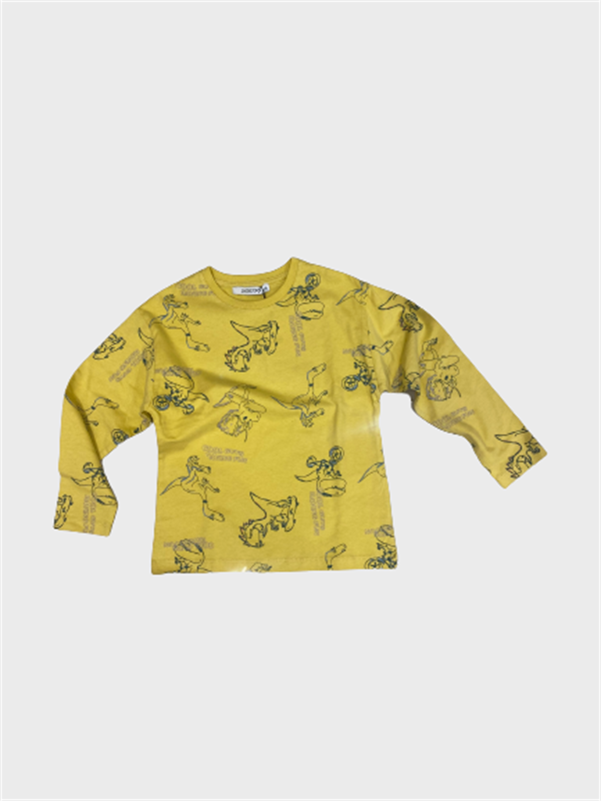 DİNAZORLU ERKEK SWEAT