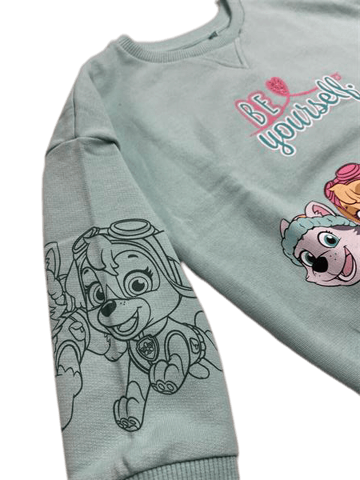 PAW PETROL SWEAT