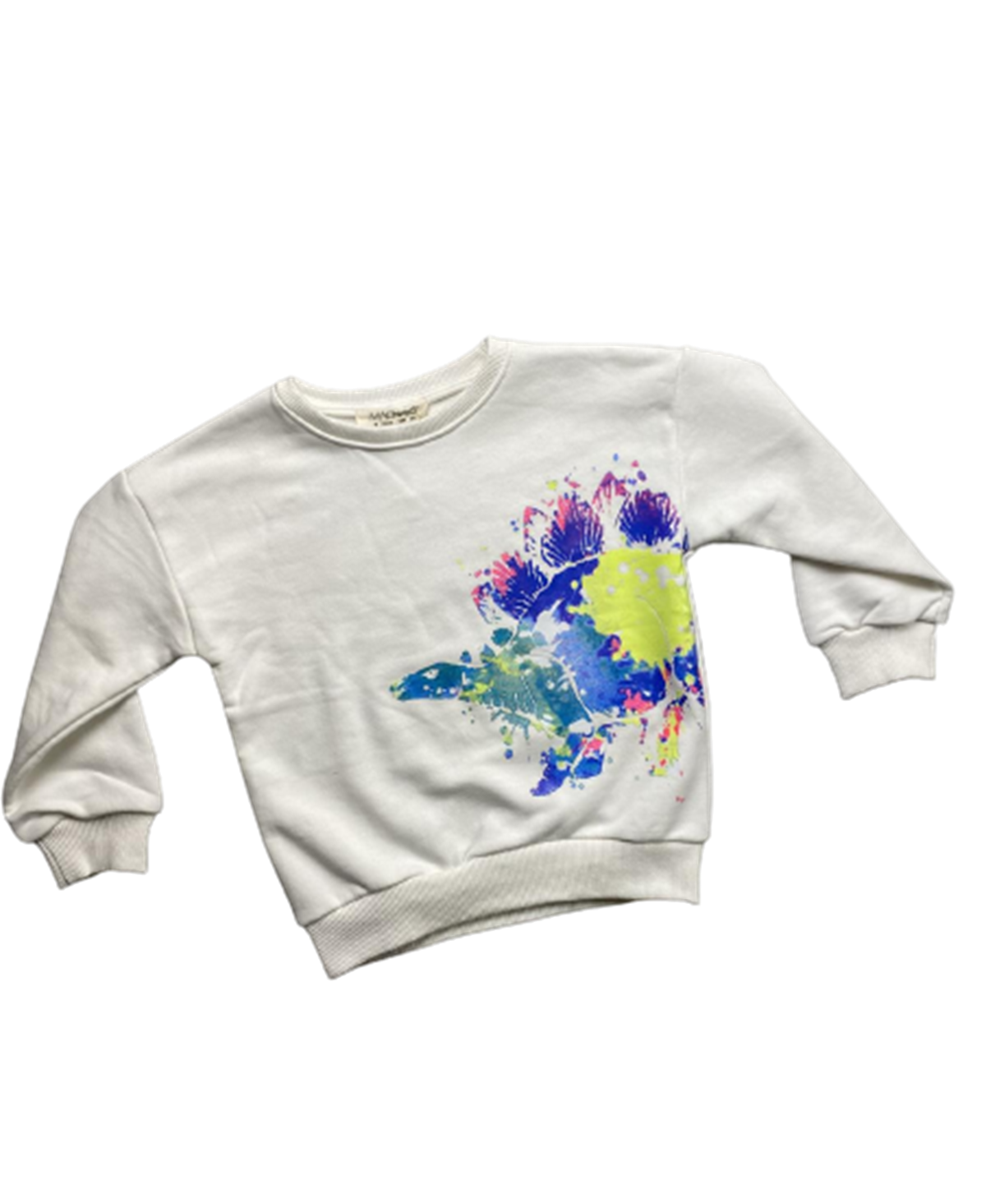 RENKLİ DİNO ERKEK SWEAT