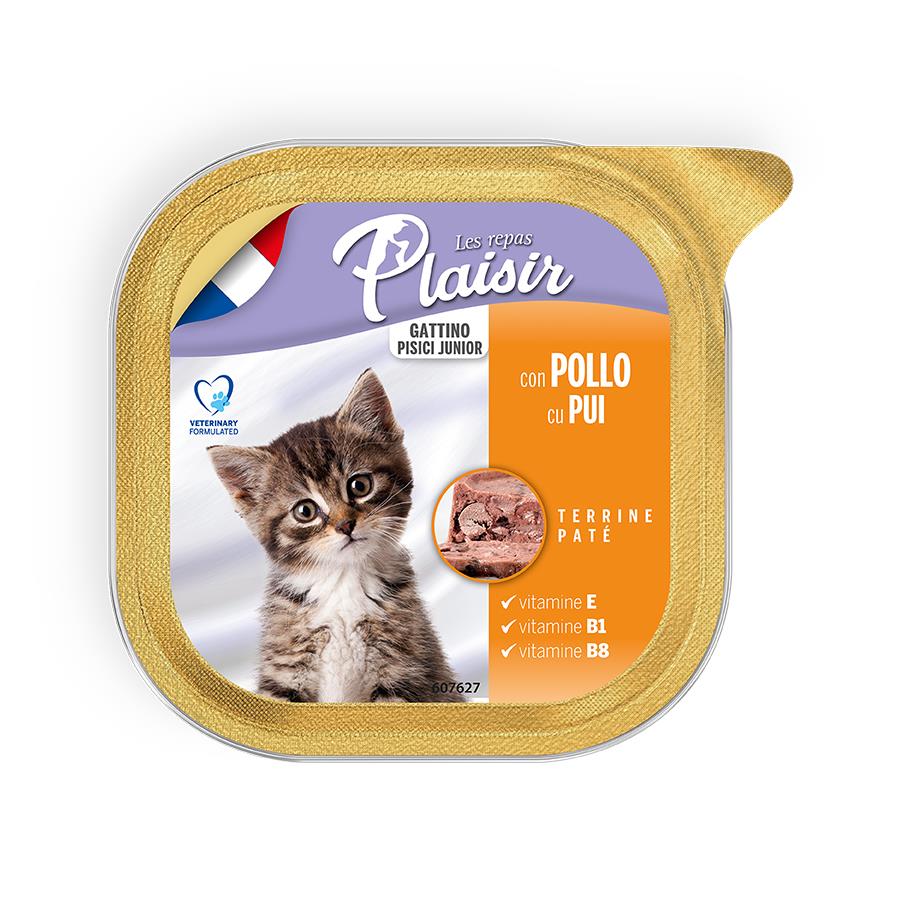 Plaisir Tavuklu ve Sütlü Pate Konserve Yavru Kedi Maması 100 Gr