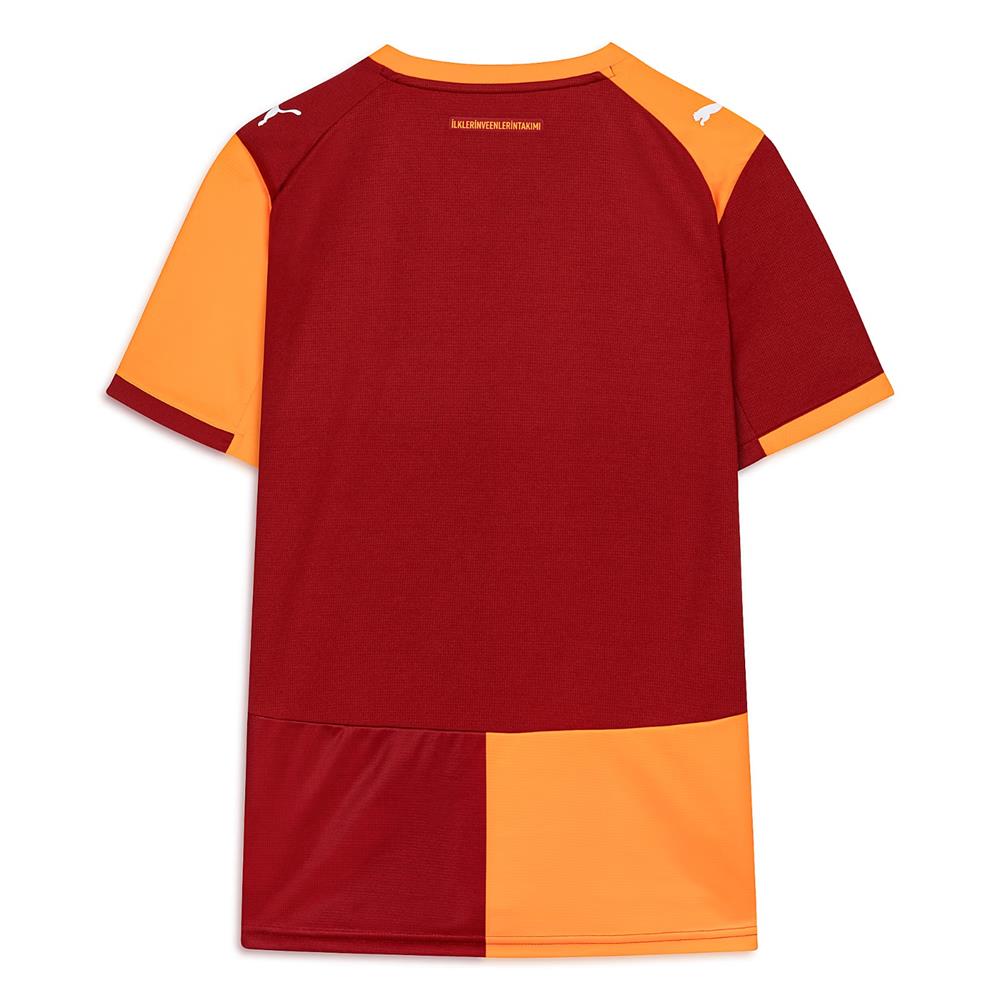 Galatasaray S.k. 25/26 Erkek İç Saha Forması 01 Renk 01