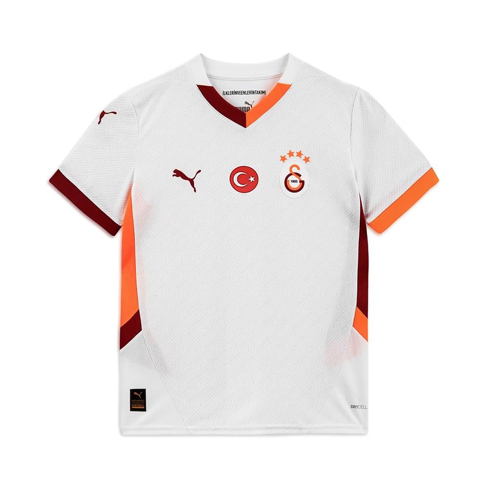 Galatasaray S.k. 24/25 Genç Deplasman Forması 02 Renk 02