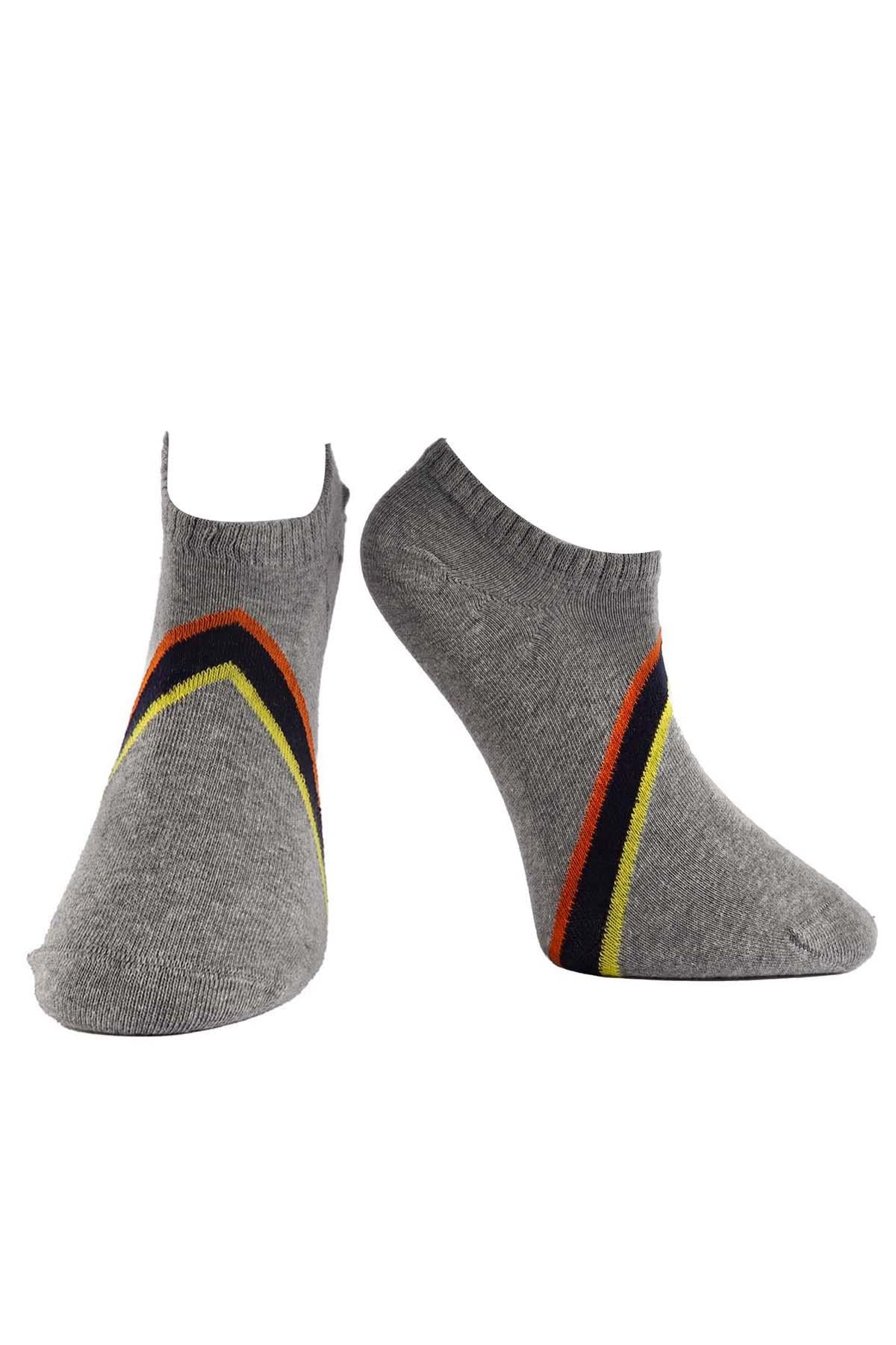 Erkek 4'lü Sneaker Çorap Asorti 7705