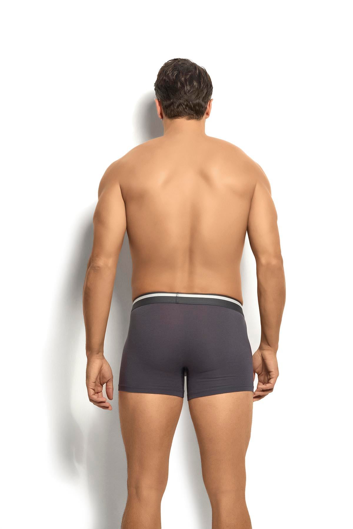 Erkek Mikromodal 3'lü Asorti Boxer 243