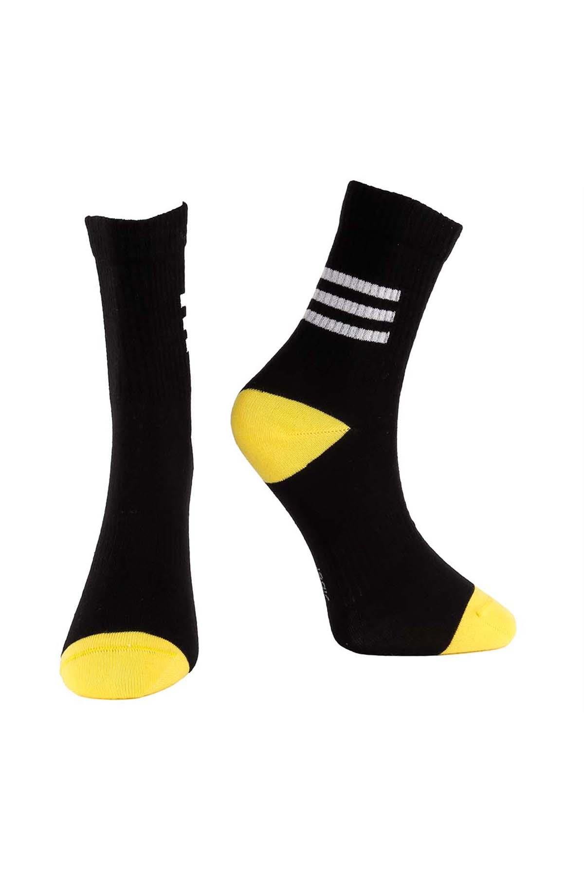 Erkek Sport Yarım Konç Çorap Asorti  6045