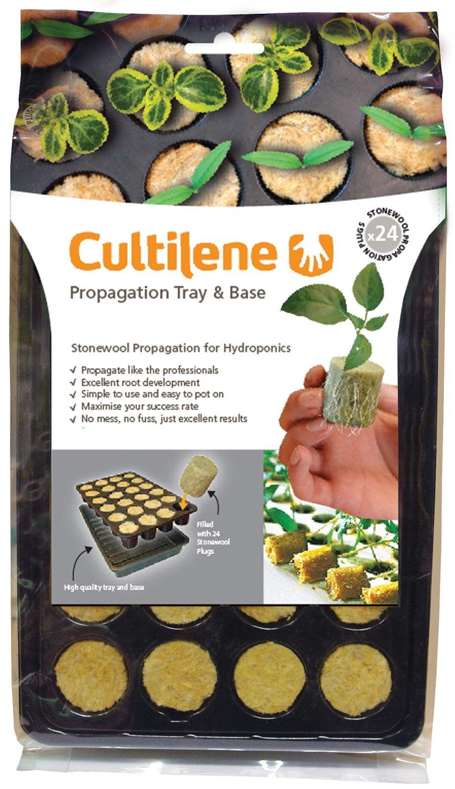 CULTILENE KAYAYÜNÜ VİYOL 24 GÖZLÜ