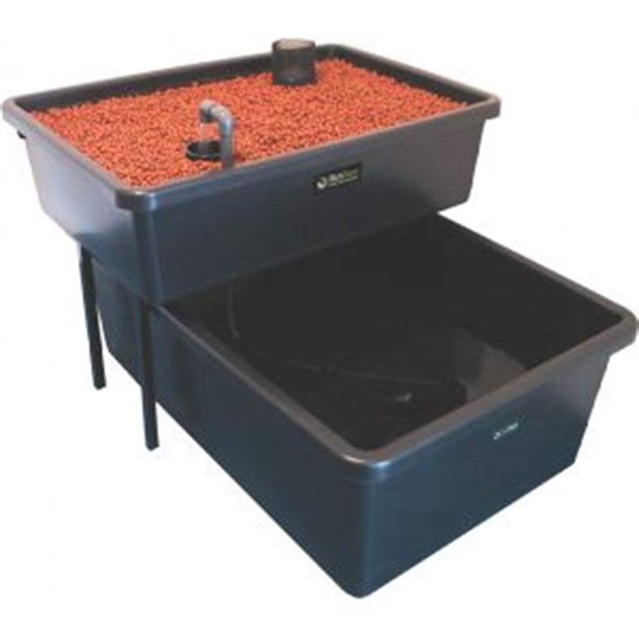 FISHPLANT AQUAPONIC AİLE SİSTEMİ