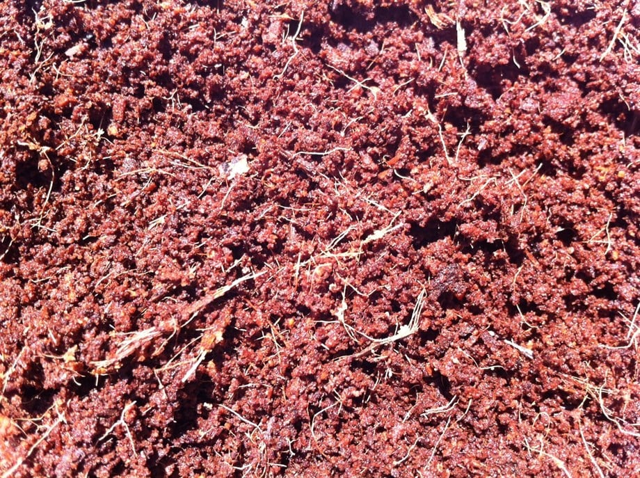 HİNDİSTAN CEVİZİ KABUĞU (COCOPEAT) TORBA 100x20x16cm