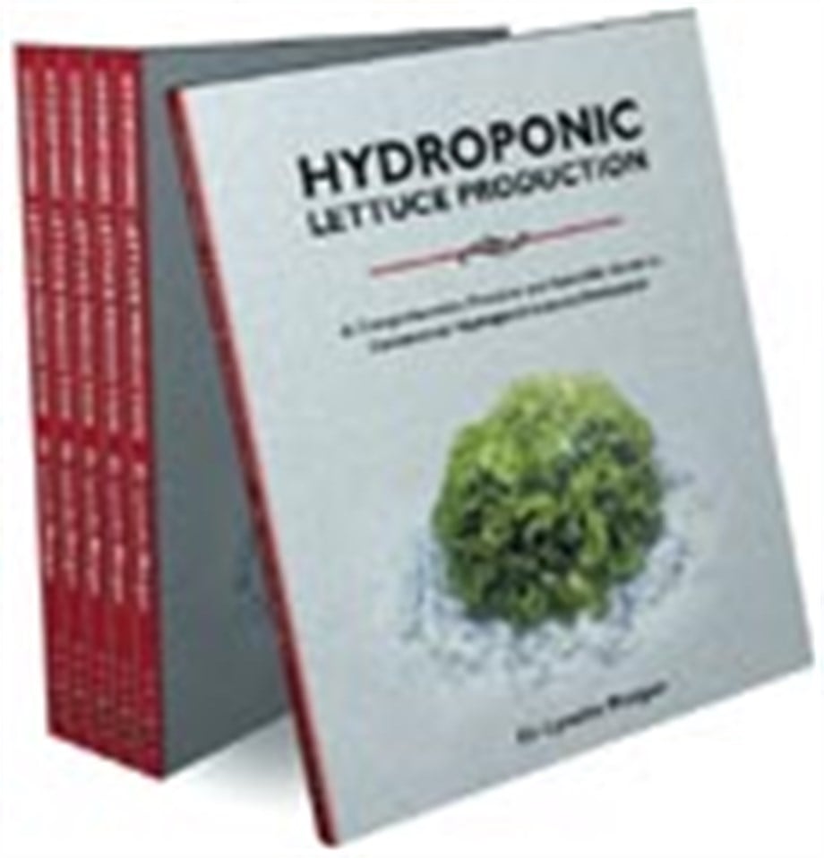 Hydroponic Lettuce Production