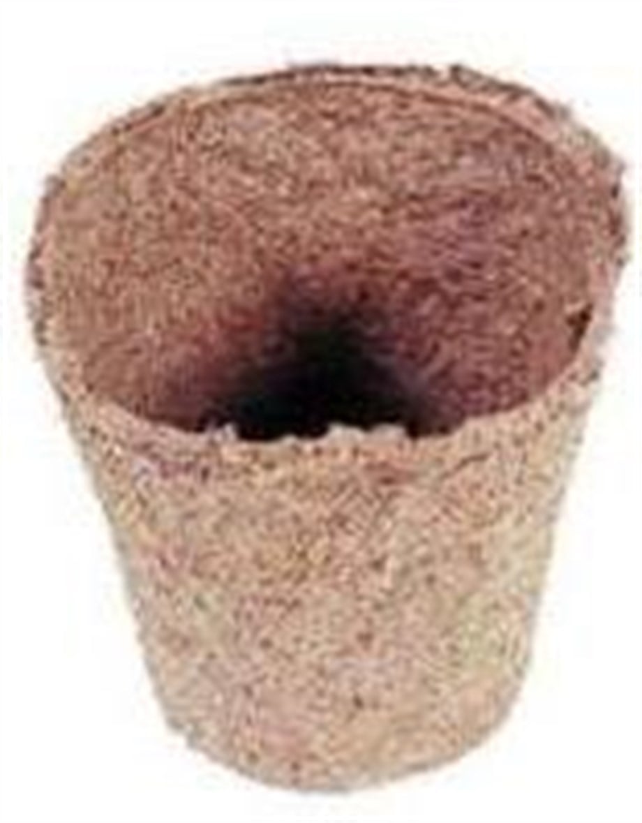 JIFFY 6cmx6cm TORF SAKSI 10 adet