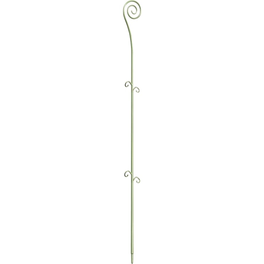 ORCHIDECO TWIST YEŞİL