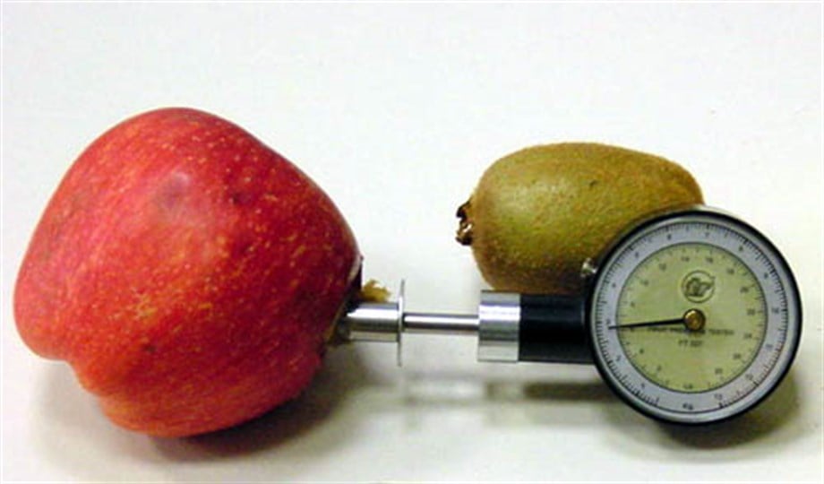 PENETROMETRE MEYVE SERTLİĞİ ÖLÇER 5 kg