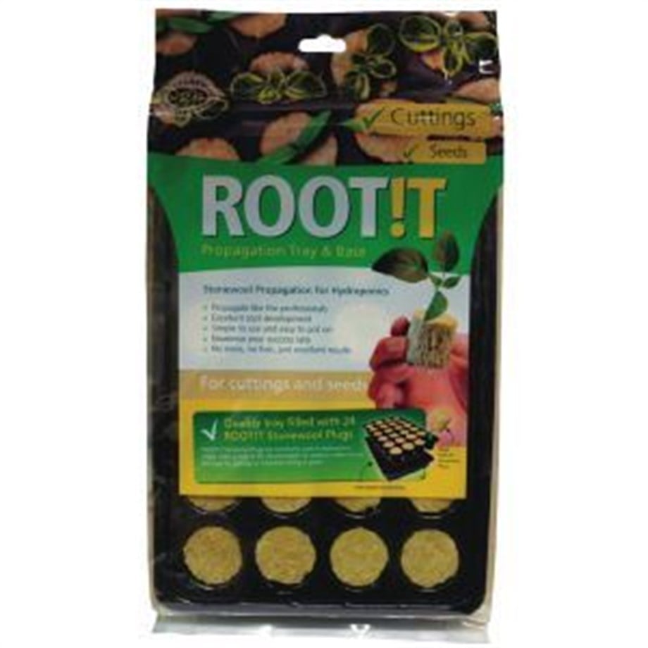 ROOT!T KAYAYÜNÜ VİYOL