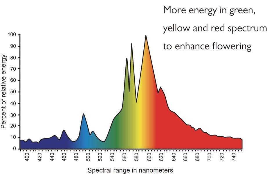 SUPER HPS AMPUL 1000W