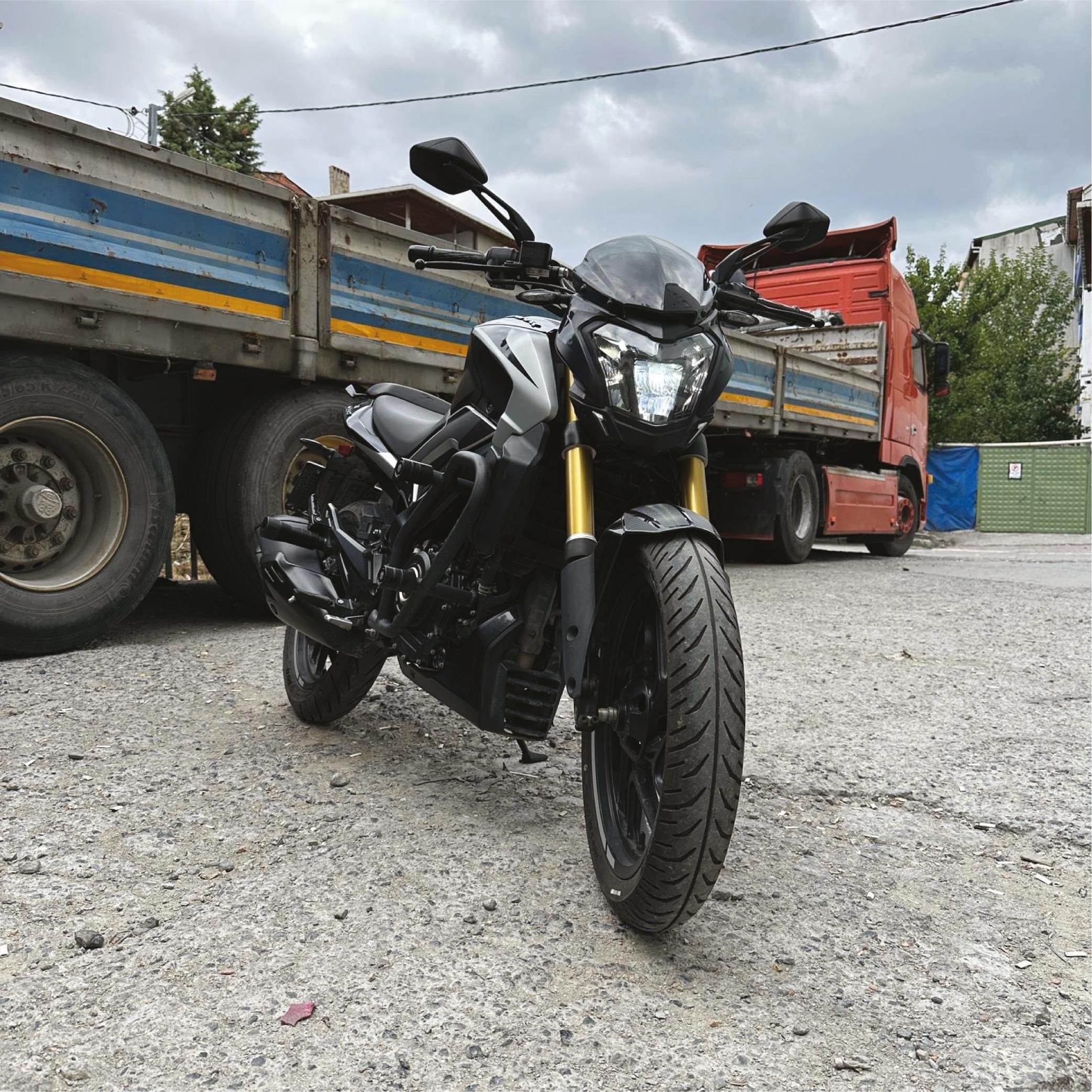 DominarBajaj Dominar Amortisör Gold Kaplama Sticker Etiket Modeli