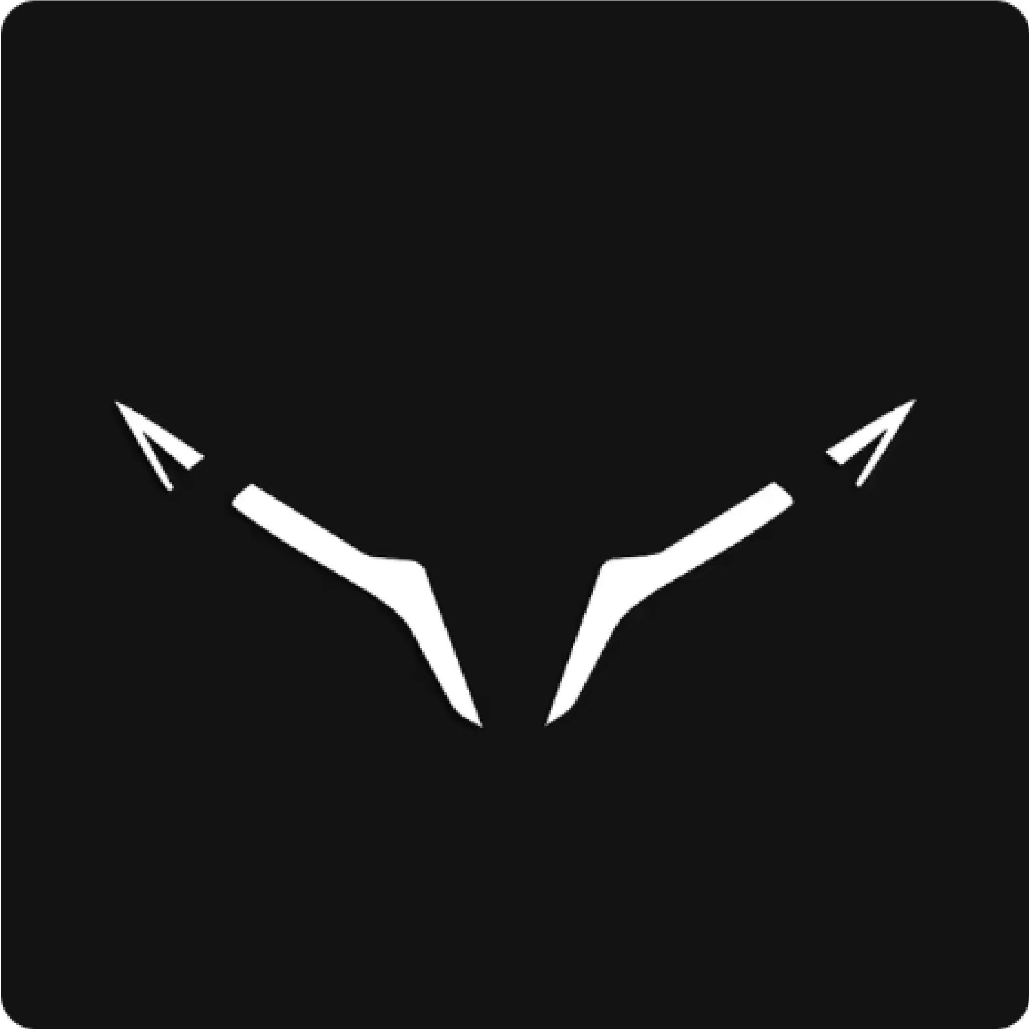 450SRCFMOTO 450SR Ön Kafa Tek Renk Beyaz Sticker Etiket Modeli