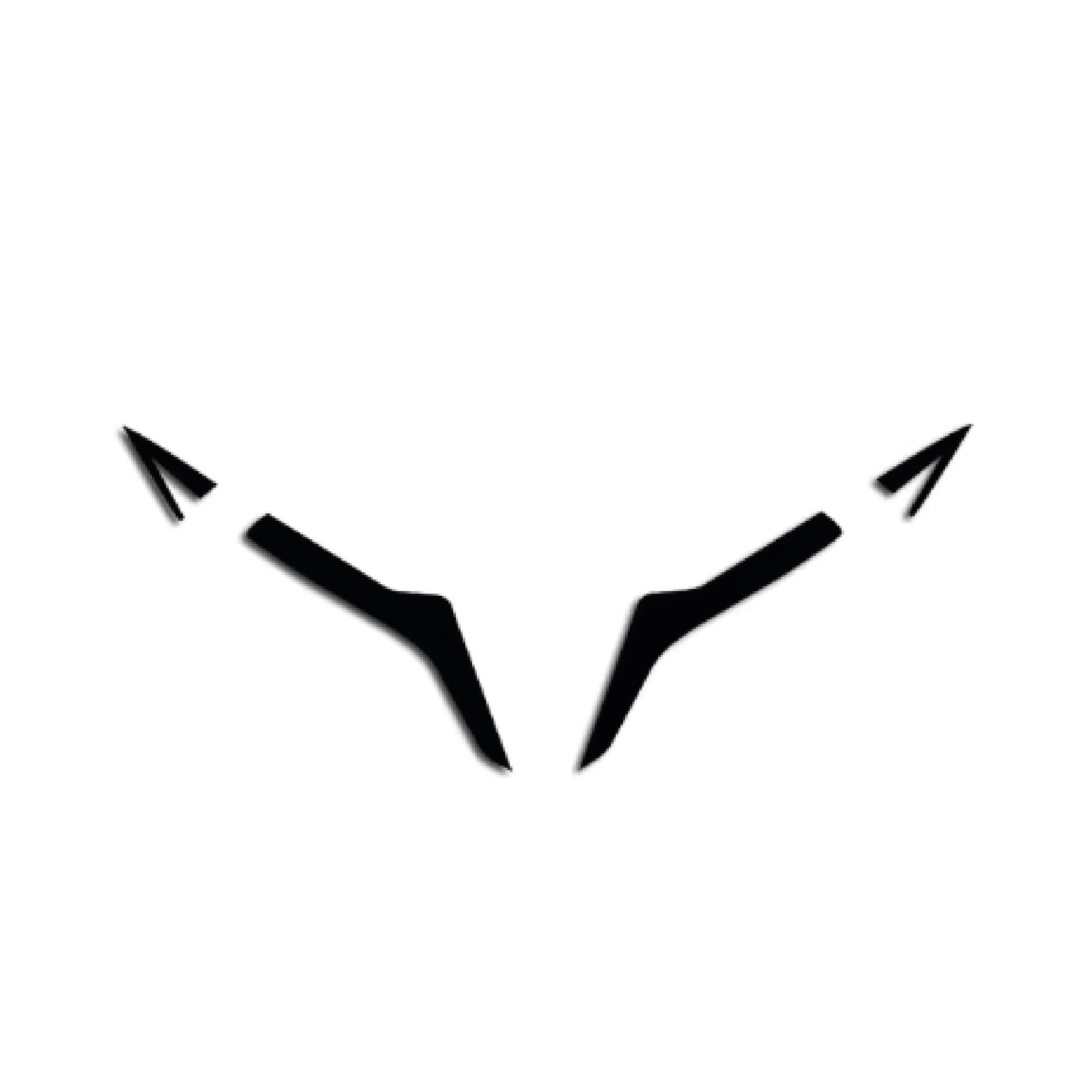 450SRCFMOTO 450SR Ön Kafa Tek Renk Siyah Sticker Etiket Modeli