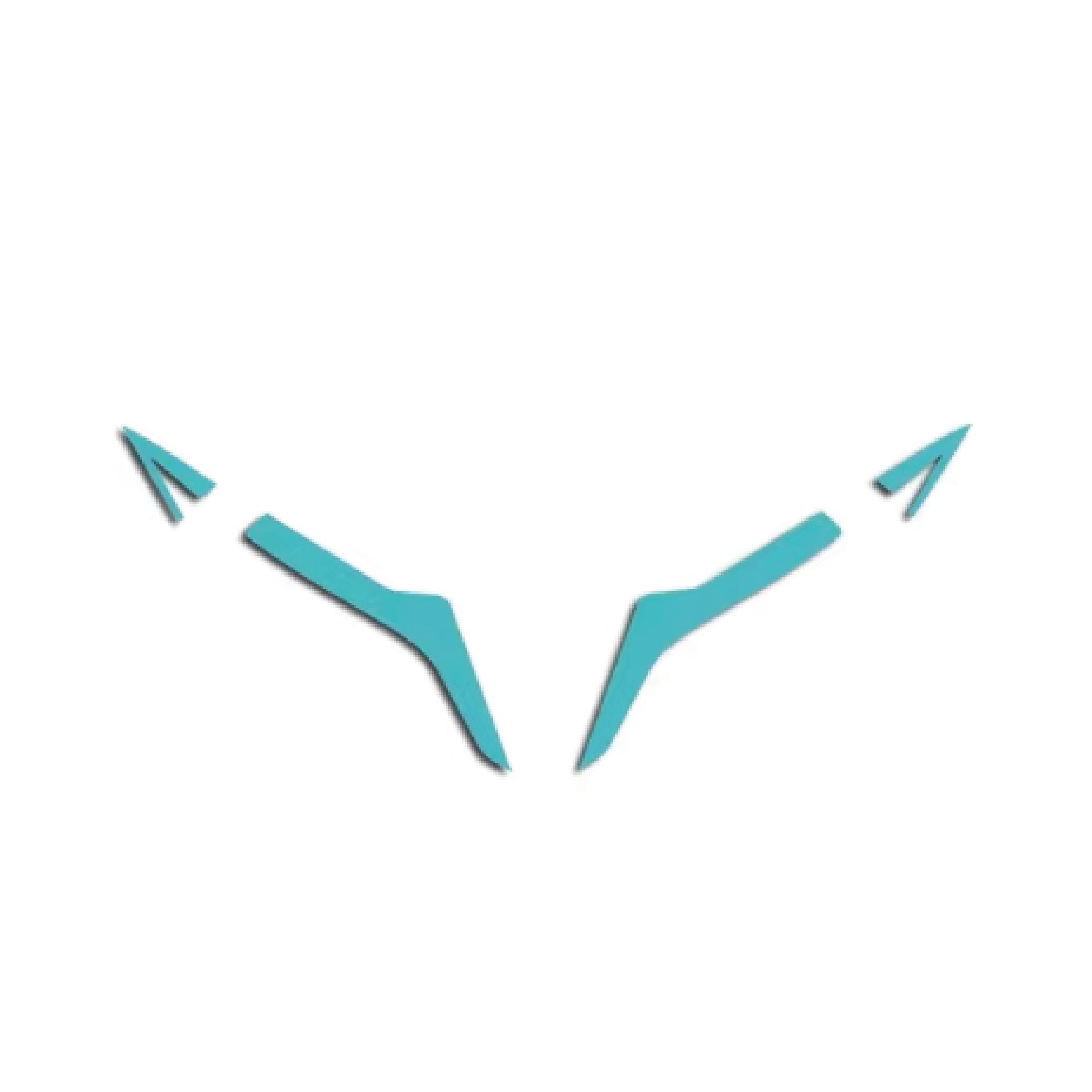 450SRCFMOTO 450SR Ön Kafa Tek Renk Turkuaz Sticker Etiket Modeli