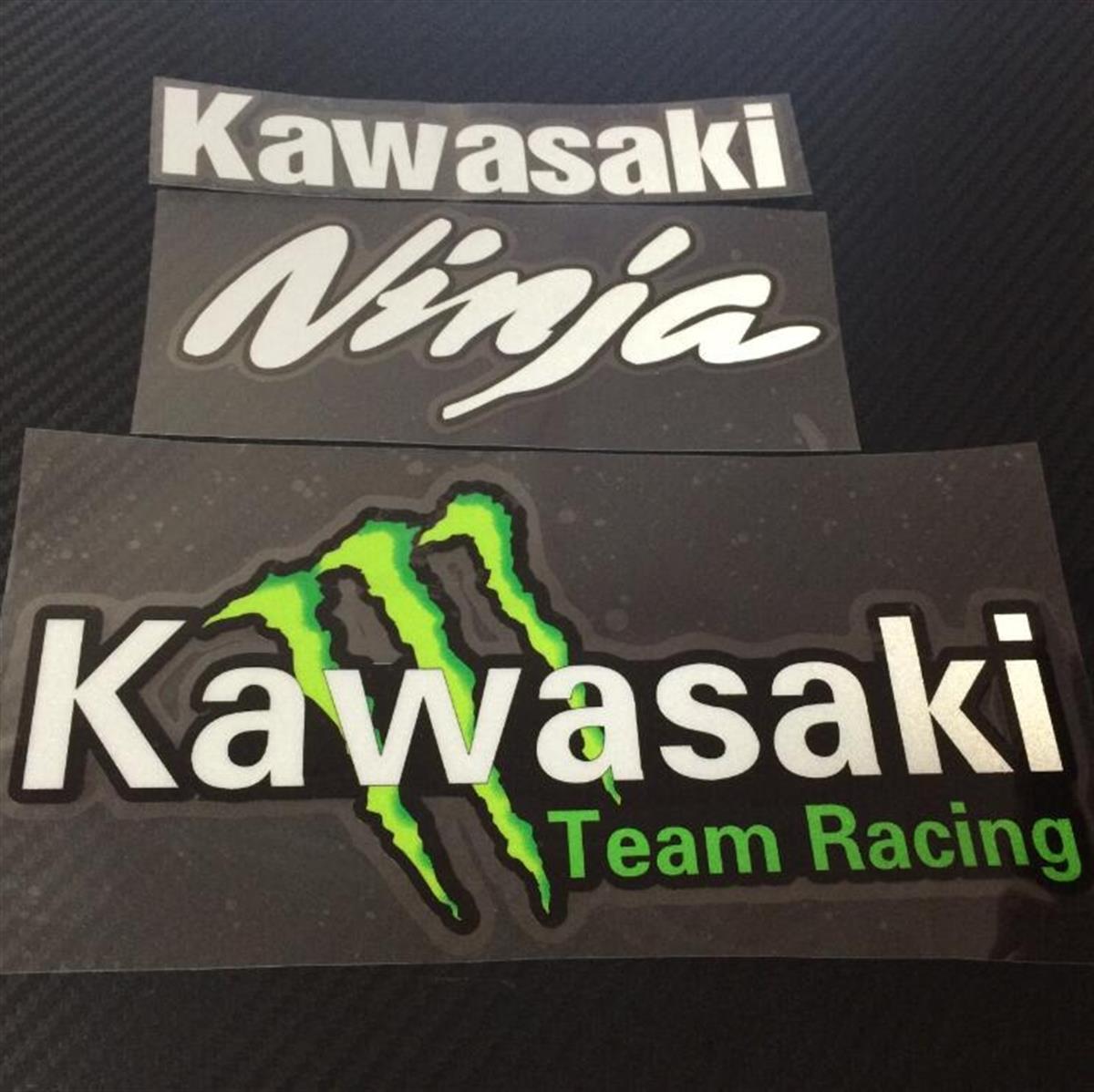 Kawasaki Ninja Sticker Etiket Model