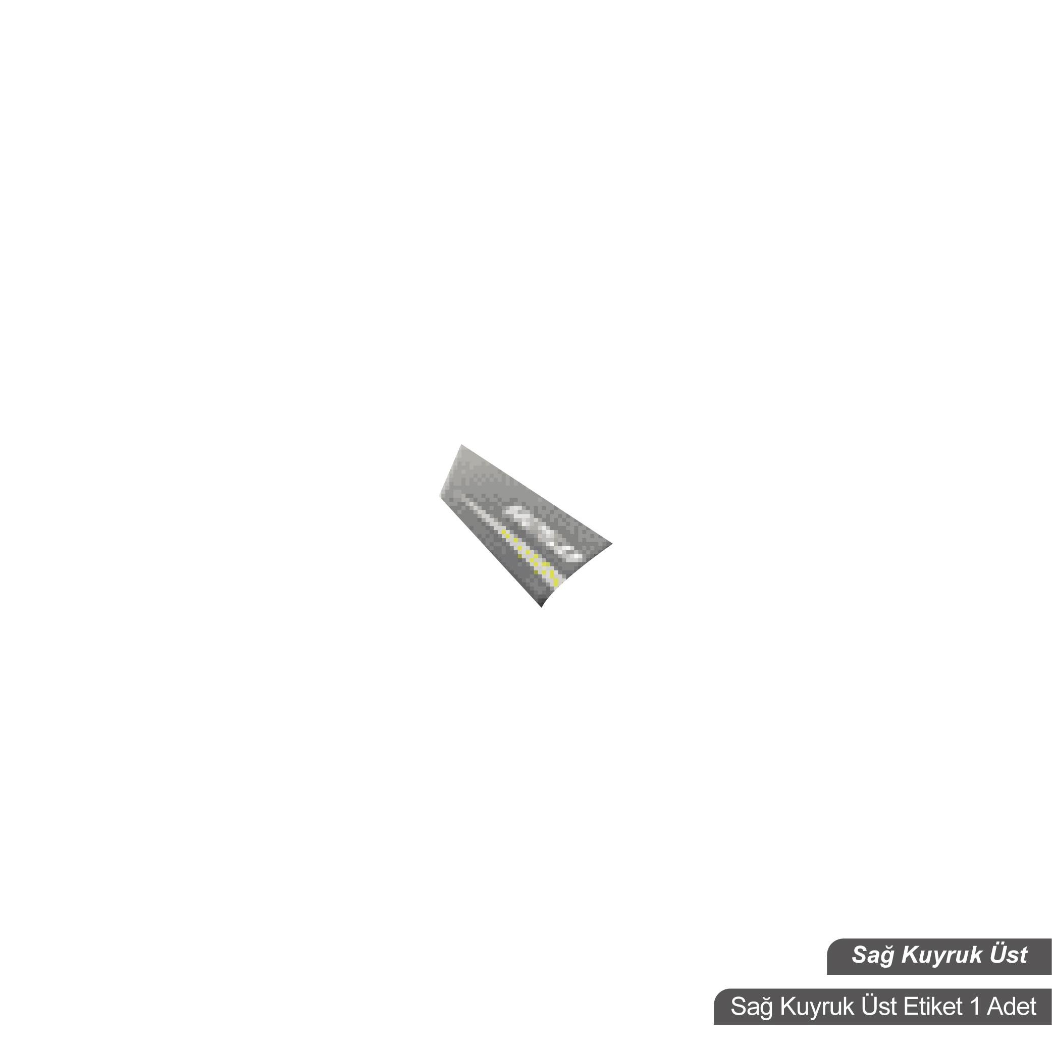 RKSRKS R250 Orjinal Tasarım Sağ Kuyruk Üst Sticker Etiket Modeli