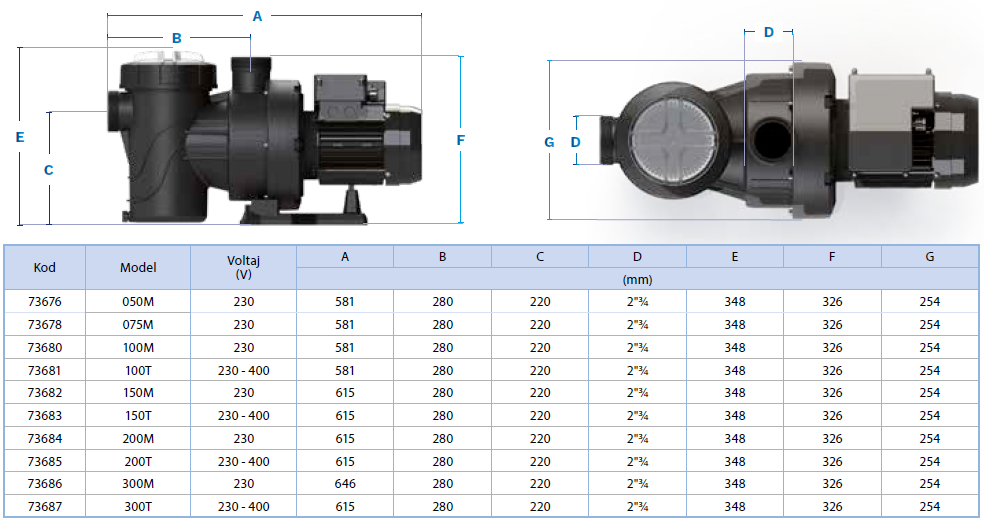 Kendinden Emişli Verdon ES Havuz Pompası
