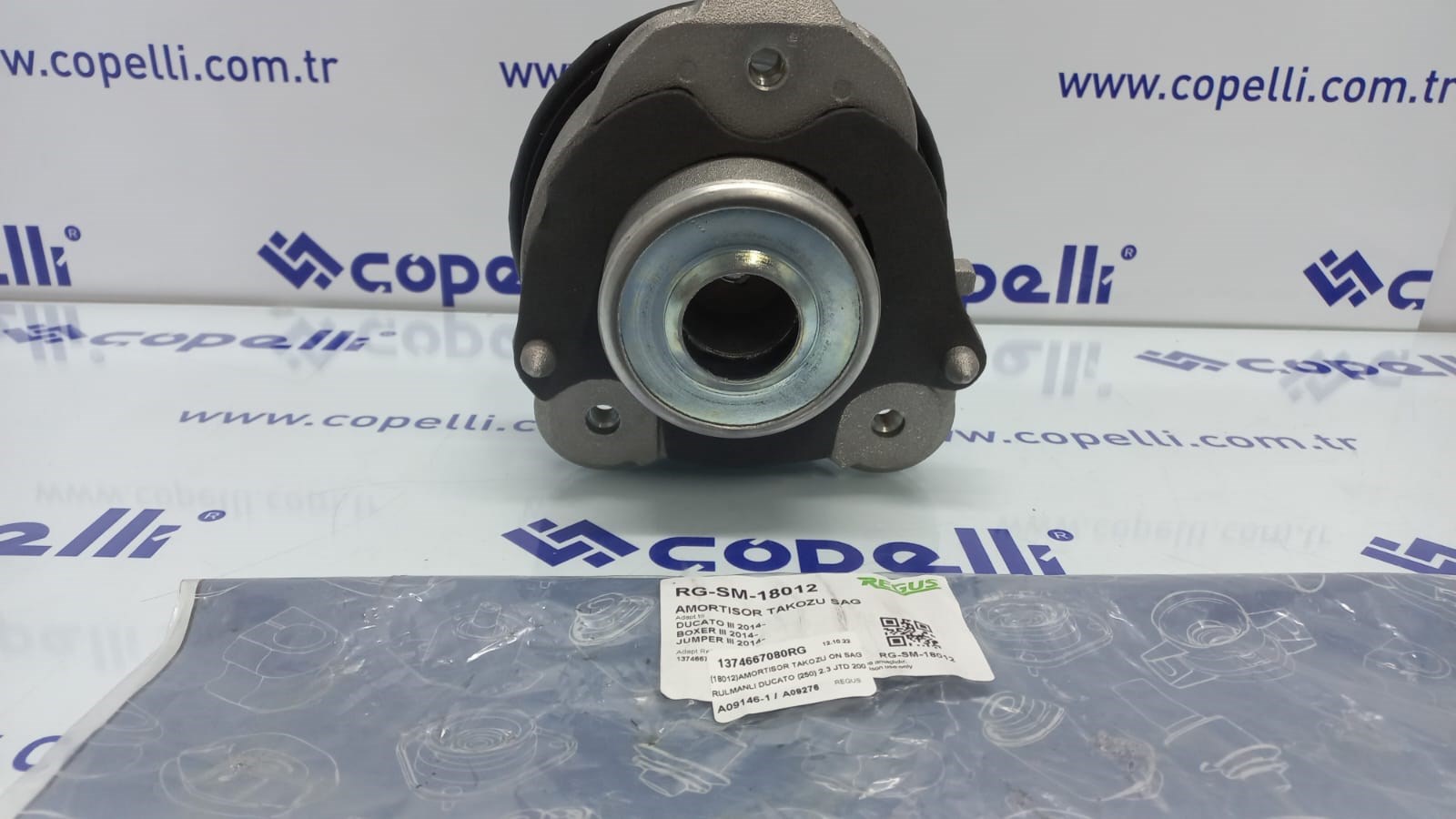 1374667080RG - (18012)AMORTISOR TAKOZU ON SAG RULMANLI DUCATO (250) 2.3 JTD 2006-2014 / REGUS