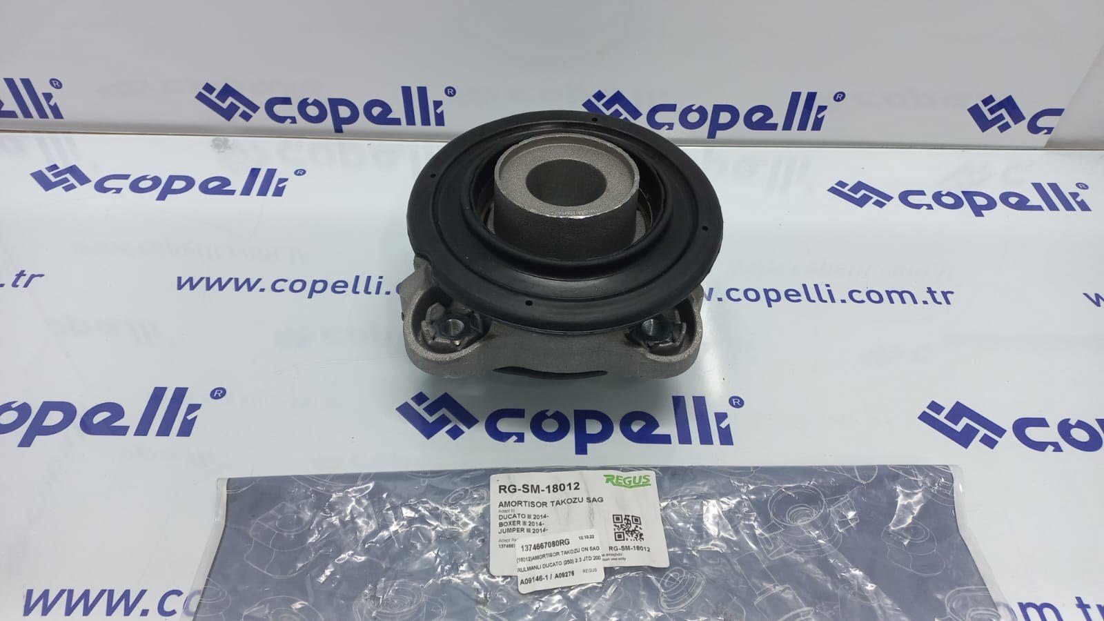 1374667080RG - (18012)AMORTISOR TAKOZU ON SAG RULMANLI DUCATO (250) 2.3 JTD 2006-2014 / REGUS