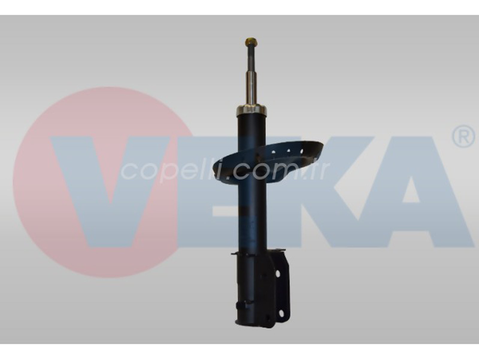 1400567380V - (180039) AMORTISOR GAZLI SAG ON SCUDO (270) 1.6 MJT 2007- 180039 1400567380;1400567780;(SA-FI030R)1 / VEKA