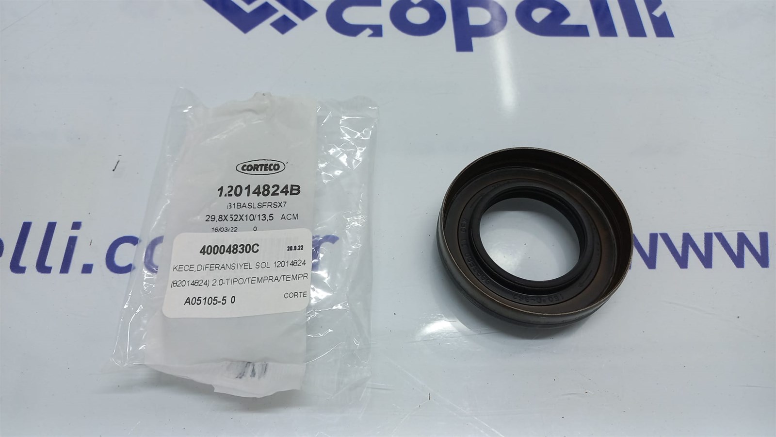 40004830C - KECE,DIFERANSIYEL SOL 12014824 (82014824) 2.0-TIPO/TEMPRA/TEMPRA SW / CORTECO